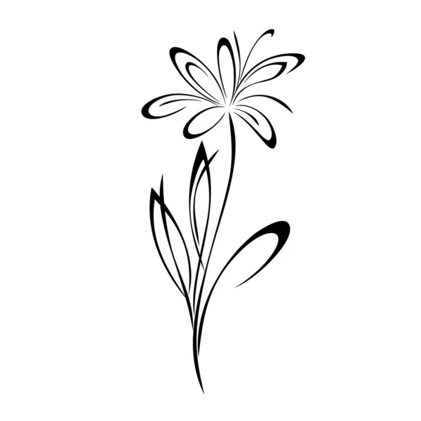 One Blossoming Stylized Flower Stem Leaves Black Lines White Background — 스톡 벡터