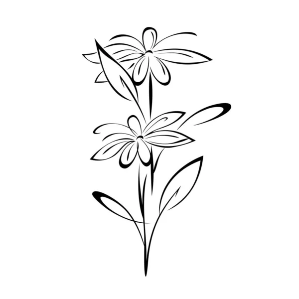 Two Blooming Stylized Flowers Stem Leaves Curls Black Lines White — 스톡 벡터