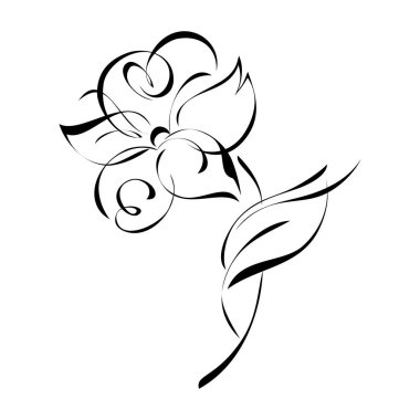 Kısa saplı yaprağın üzerinde büyük taç yapraklarıyla çiçek açan stilize bir çiçek. grafik dekor