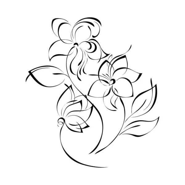 Három Stilizált Virág Ívelt Száron Levelekkel Grafikus Dekoráció — Stock Vector