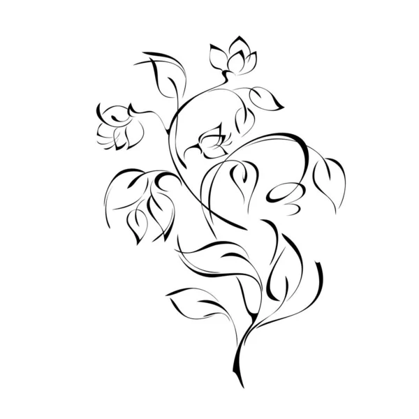 Stilisierter Zweig Mit Blütenknospen Blättern Und Locken Grafisches Dekor — Stockvektor