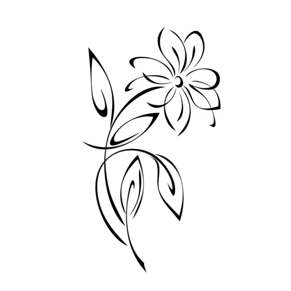 Blooming Flower Large Petals Stem Leaves Black Lines White Background — Stock Vector