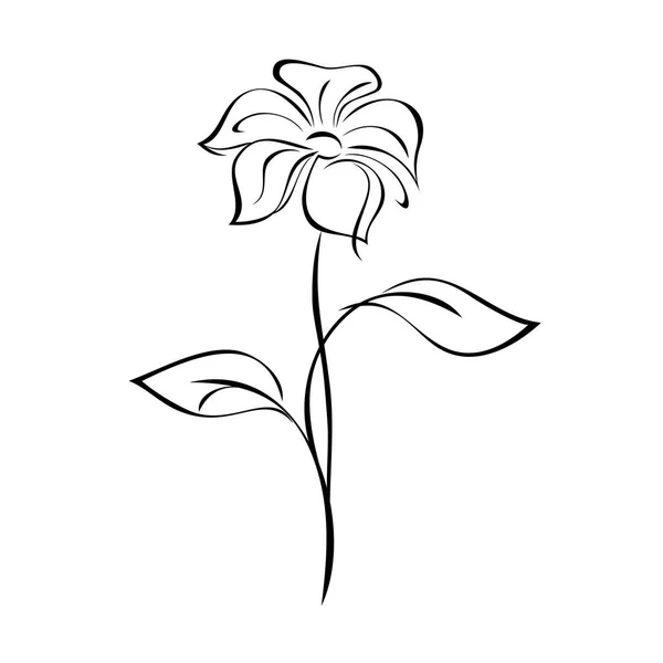 Цветущий Цветок Большими Лепестками Стебле Листьями Черных Линиях Белом Фоне — стоковый вектор
