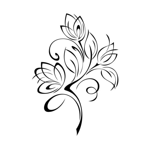 白を基調とした花や葉やカールの黒い線を持つ小枝 — ストックベクタ