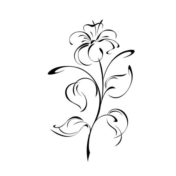 Blühende Blume Mit Großen Blütenblättern Stiel Mit Blättern Schwarzen Linien — Stockvektor