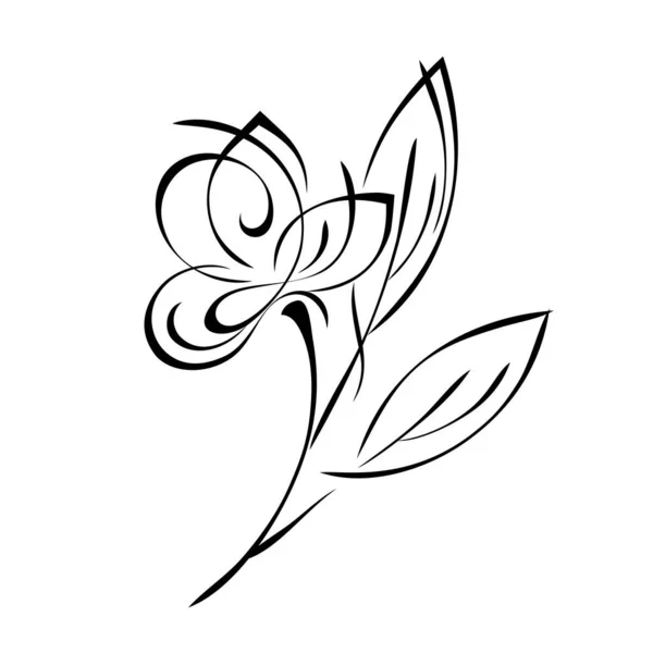 花期花期花期长 花瓣大 茎上有叶子 图形装饰 — 图库矢量图片