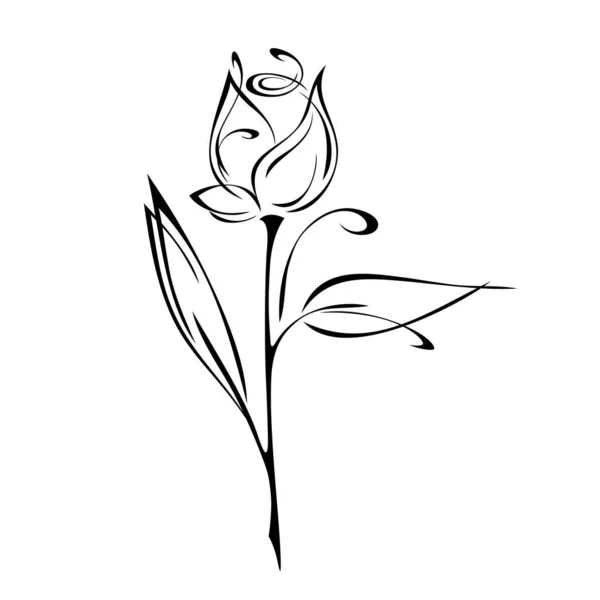 葉やカールのついた茎にバラの花芽を咲かせます グラフィック装飾 — ストックベクタ