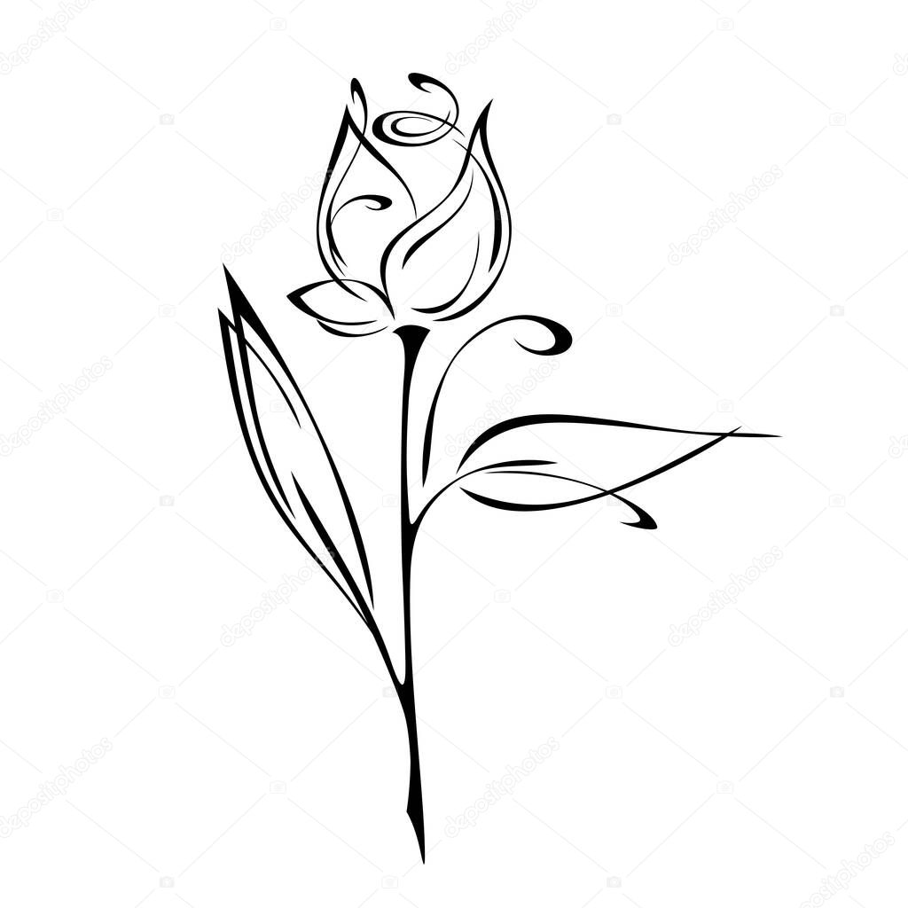 one stylized rose flower bud on a stem with leaves and curls. graphic decor