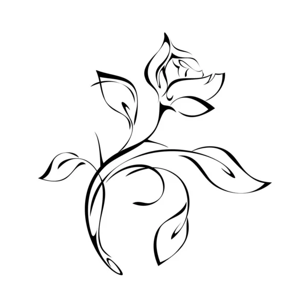 Stilizált Rózsa Virág Rügy Egy Ívelt Száron Levelekkel Grafikus Dekoráció — Stock Vector