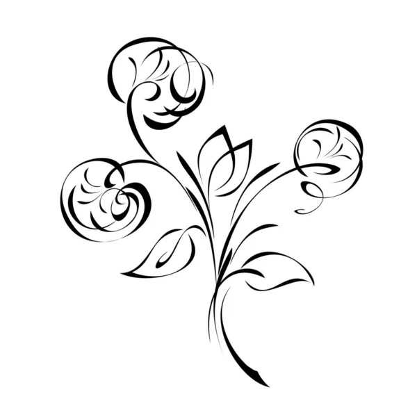 Strauß Stilisierter Löwenzahnblüten Mit Blättern Schwarzen Linien Auf Weißem Hintergrund — Stockvektor