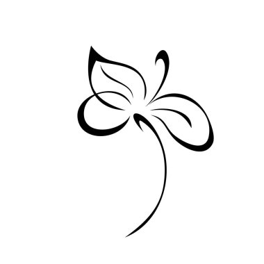 Beyaz arka planda siyah çizgiler içinde yaprakları olmayan kısa saplı bir çiçek.