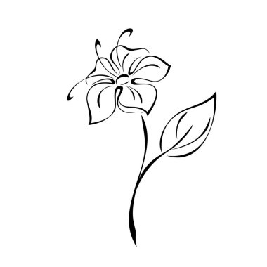 Bir yaprağın gövdesinde büyük taç yapraklarıyla çiçek açıyor. grafik dekor