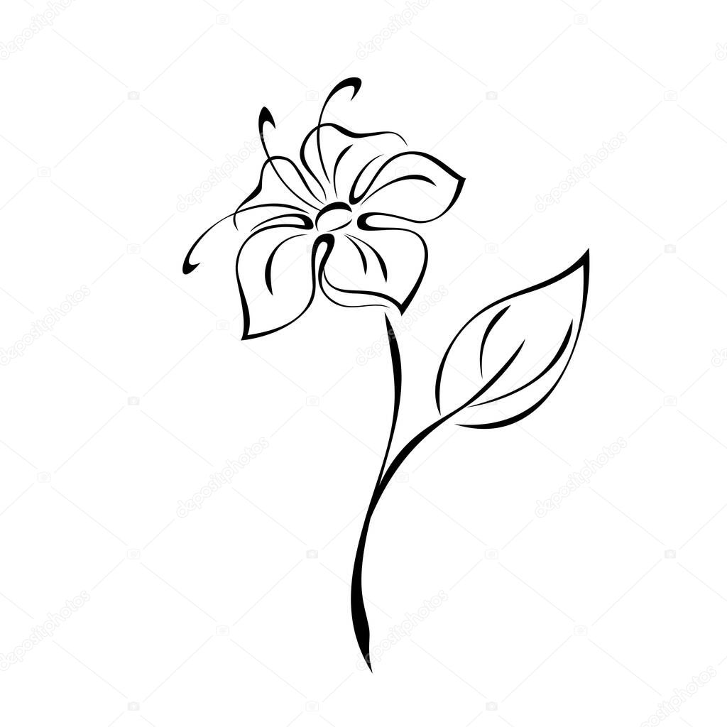 blooming flower with large petals on a stem with one leaf. graphic decor