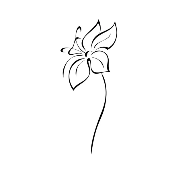 Ένα Στυλιζαρισμένο Ανθισμένο Λουλούδι Ένα Κοντό Μίσχο Χωρίς Φύλλα Μαύρες — Διανυσματικό Αρχείο