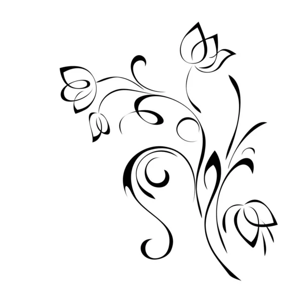 Ornement Floral Avec Boucles Lignes Noires Sur Fond Blanc — Image vectorielle