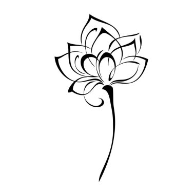 Beyaz arka planda siyah çizgiler içinde yaprakları olmayan kısa saplı bir çiçek.