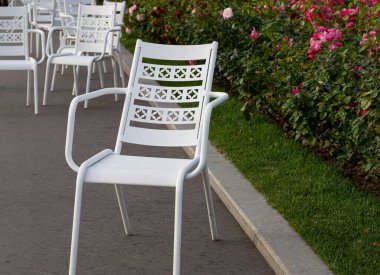 Boş bahçe sandalyeleri çimenlikteki parkta duruyor. Kentsel çevrenin resmi.