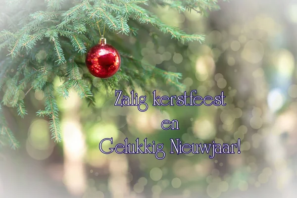 Text Slavnostní Pozdravy Nizozemsku Smyslu Šťastného Nového Roku Vánoční Dekorace — Stock fotografie