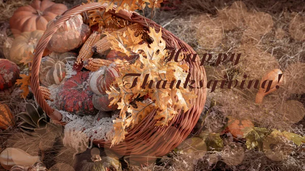 Thanksgiving Holiday Lots Pumpkins Basket Congratulations Text Bokeh Toning Orange — Stock Photo, Image