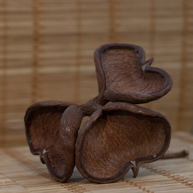 Sıra dışı şekilli doğal bir taş. İç dekoratif bir unsur. Suiseki, doğallık ve minimalizm, zen, düşünce ve doğa ile uyum.