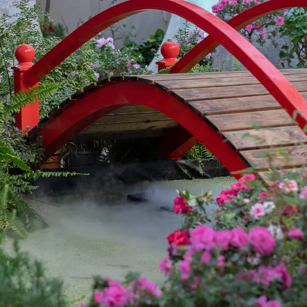 Home Garden Small Pond Bridge Arch Selective Focus Landscape Design — Stock fotografie