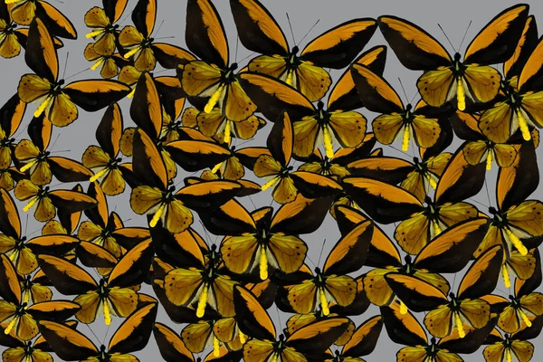 Fond Abstrait Papillons Combinaison Couleurs Jaune Gris Concept Été — Photo