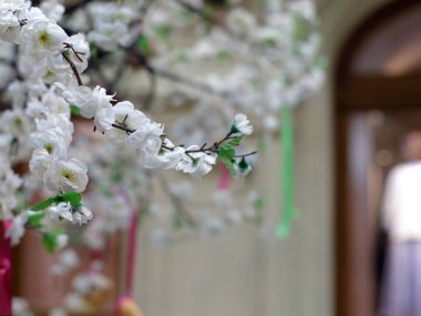 Mağaza girişinin bulanık arka planında çiçekli bir ağacın dalları. Bahar tatili için alışveriş merkezini dekore ediyorum. Tasarımınız için alanı kopyalayın.