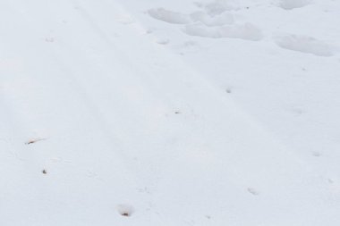 Beyaz kar dokusu. Kış sahnesi için karlı bir arkaplan.
