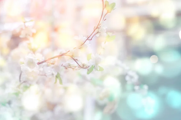 白りんごの花が咲く抽象的な背景 グレアとボケで表現 春の花の背景とともにコピースペース — ストック写真