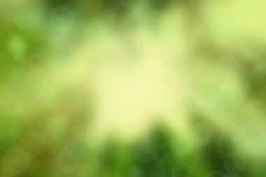 Güneş ışığıyla yeşil ve sarı tonlarda soyut doğal bokeh arkaplanı, boşluğu kopyala