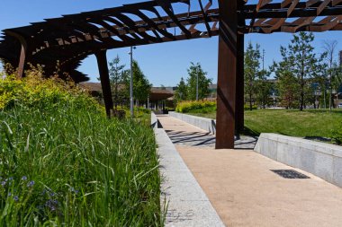 Şehir parkında yürüyüş ve koşu yolu. Gezinti için uygun olan parkın manzara görüntüsü.