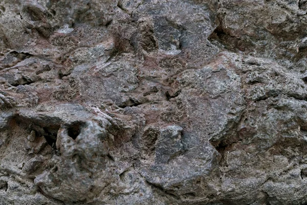 Grå Brun Natursten Närbild Som Textur Eller Bakgrund Selektiv Inriktning — Stockfoto