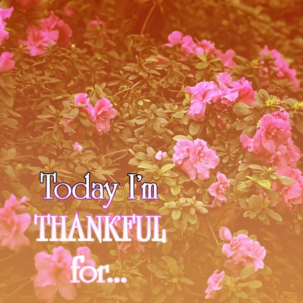 Citazione Ispiratrice Gratitudine Oggi Sono Grata Concetto Ringraziamento Con Sfondo — Foto Stock