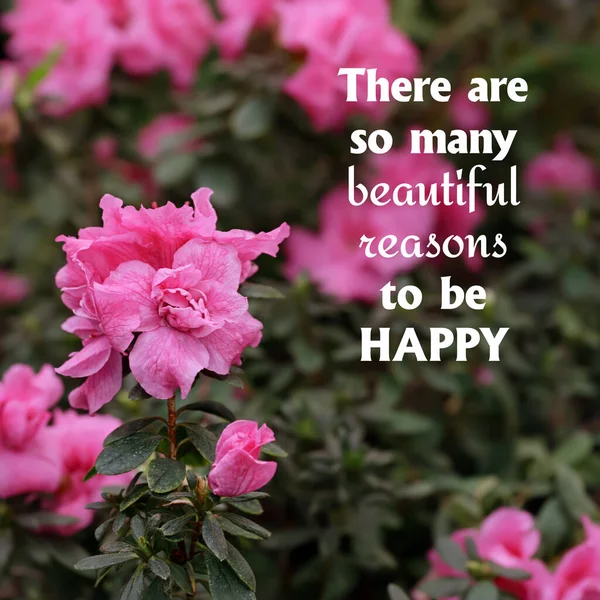 Citazione Positiva Felicità Uno Sfondo Fiori Sono Tante Belle Ragioni — Foto Stock