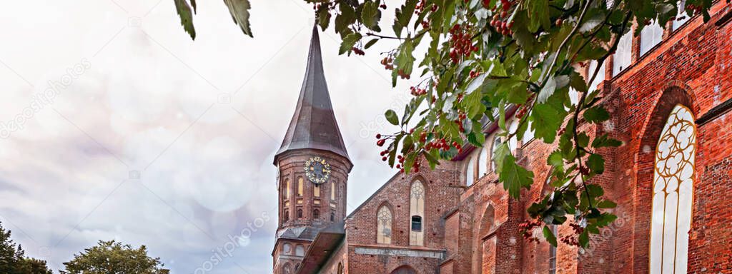 Medieval clock tower in Baltic Gothic architectural style on a background of green leaves with red hawthorn berries.