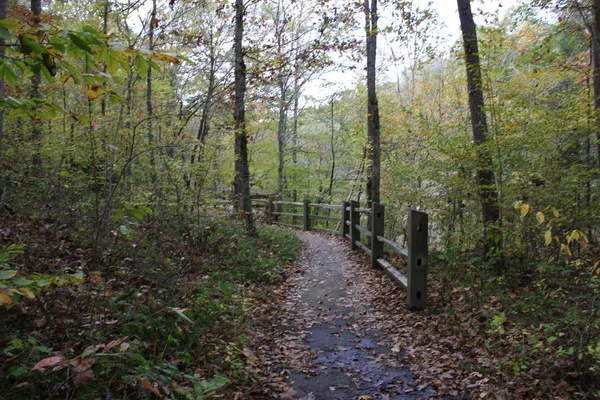 Cesta lesem na podzim — Stock fotografie