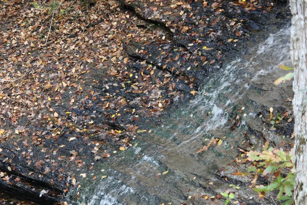 Wasserfall im Wald — Stockfoto