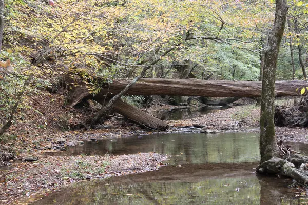 Gewässer in der Natur — Stockfoto