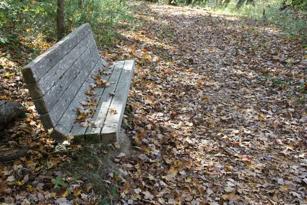 秋のトレイルに木製のベンチ — ストック写真