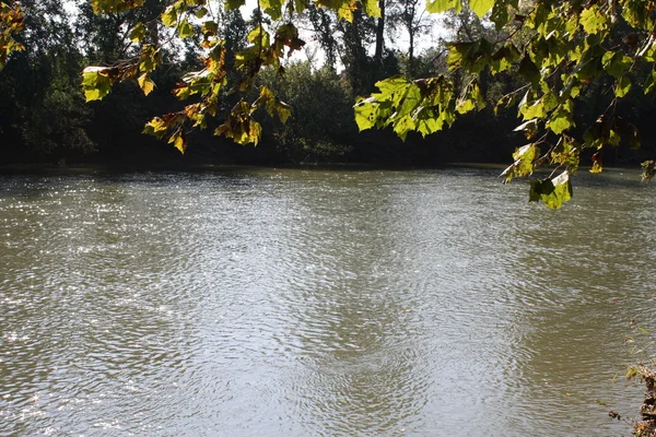 Plan d'eau dans la nature — Photo