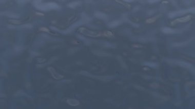 Sonsuz dalga boyalı soyut arkaplan. Üç boyutlu grafikler. Parlak renkli dalgalar. Sıvı simülasyonu. Videofon. İpek kumaş simülasyonu.