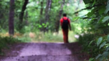Ormandaki yolda yürüyen bir adam.