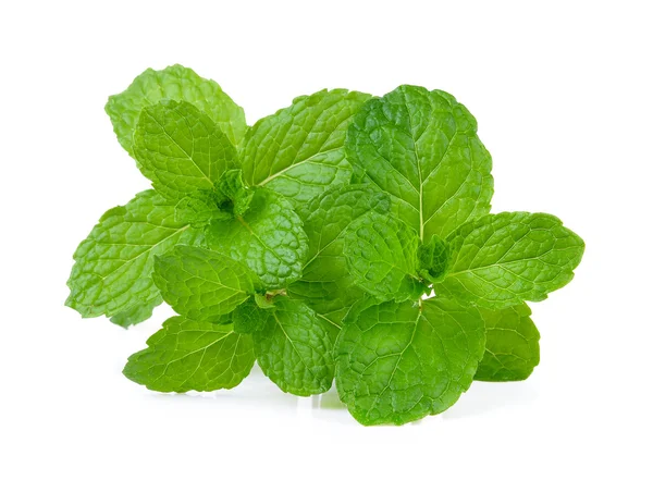 Mint leaf on white background — Stock Photo, Image