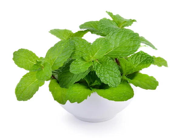 Mint leaf in the bowl on white background — Stock Photo, Image