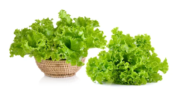 Fresh green lettuce in the basket isolated on a white background — Stock Photo, Image