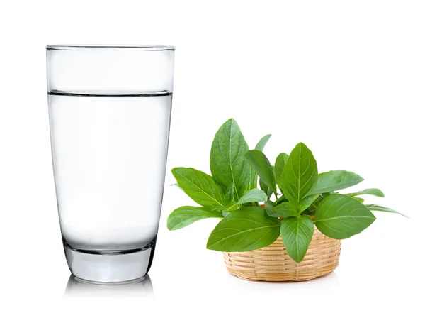 Glass of water with sweet basil  isolated on white background — Stock Photo, Image