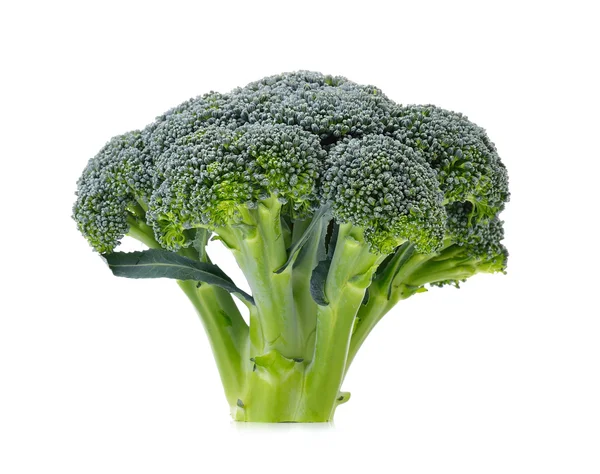 Brocoli sur fond blanc — Photo