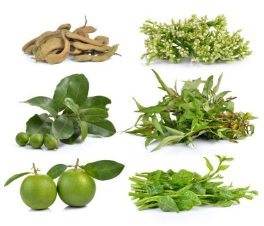 Vietnamca nane, Malabar ıspanak, tatlı portakal, macadamia, tamar