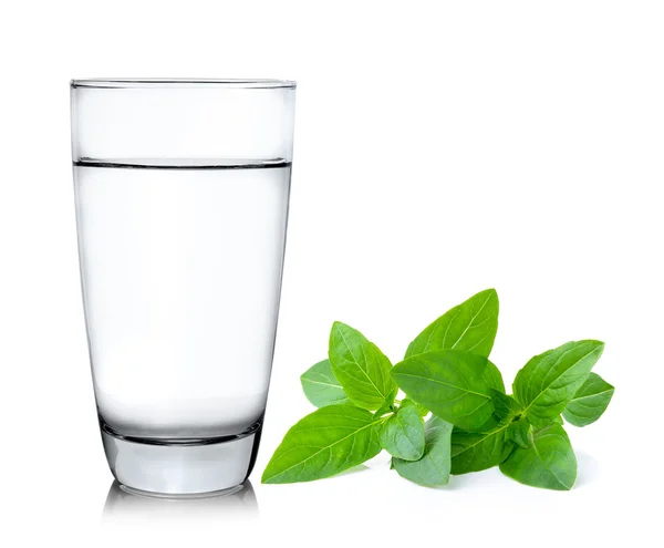 Glass of water with sweet basil  isolated on white background — Stock Photo, Image
