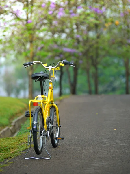 Велосипед в саду дороги — стоковое фото